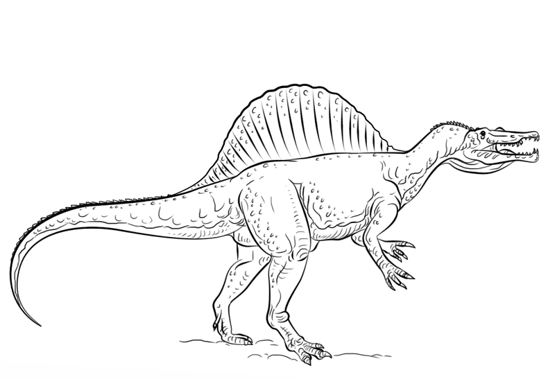 Desenho de Espinossauro para colorir e imprimir: número 3