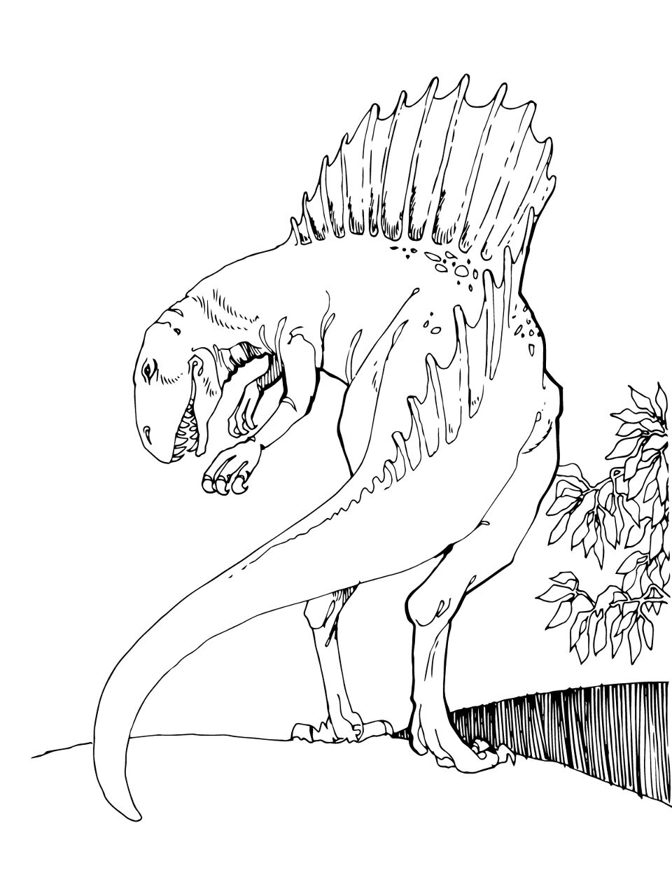 Desenho de Espinossauro para colorir e imprimir: número 8