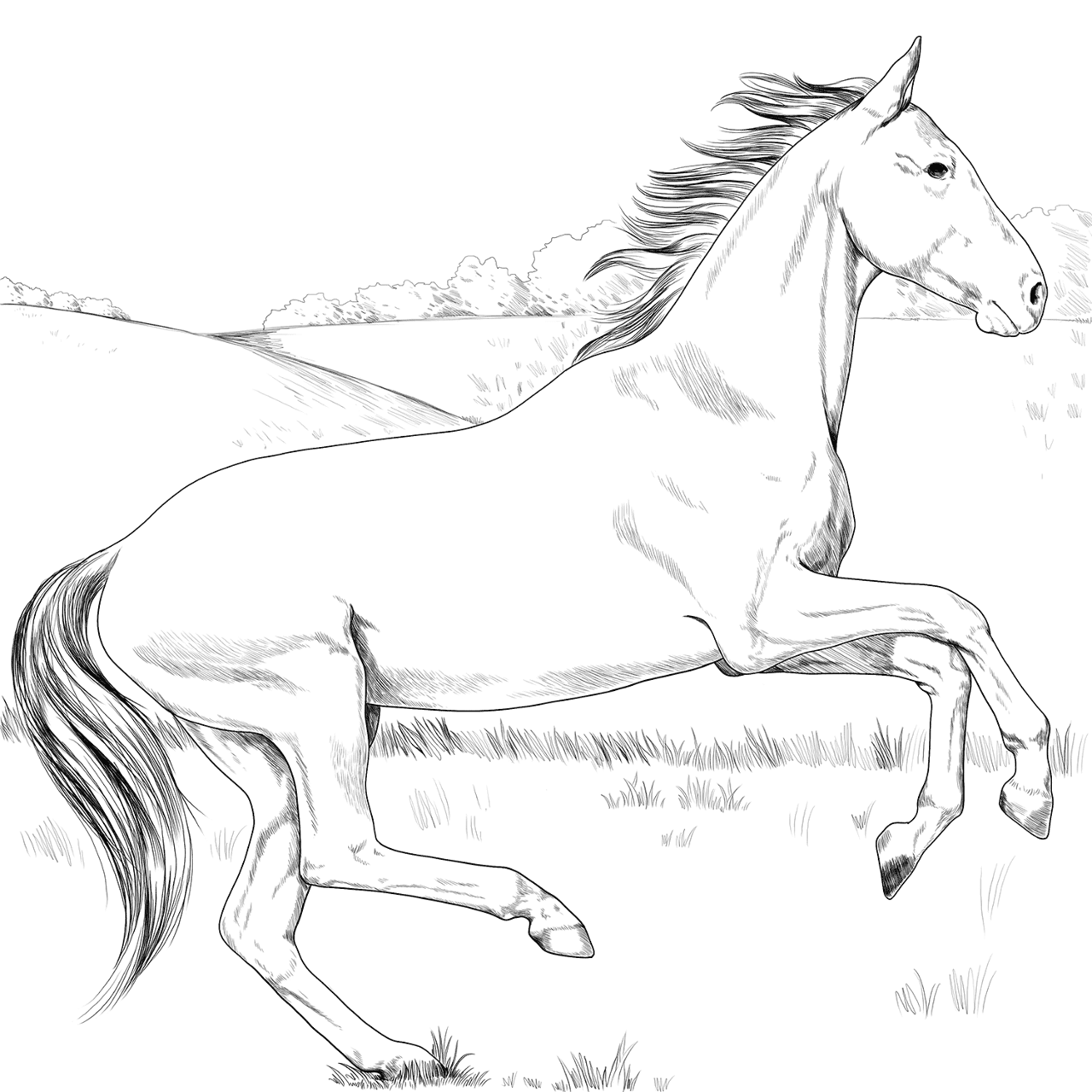 Desenho de Esportes Equestres para colorir e imprimir: número 18