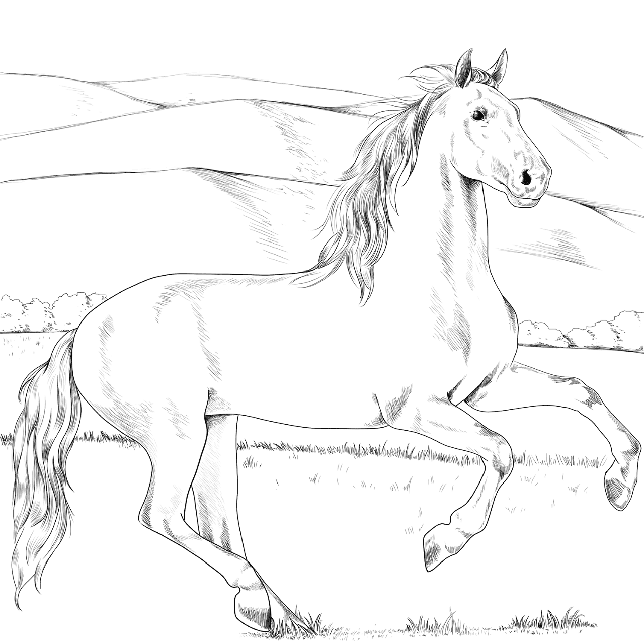 Desenho de Esportes Equestres para colorir e imprimir: número 19