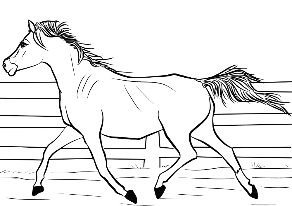 Desenho de Esportes Equestres para colorir e imprimir: número 21