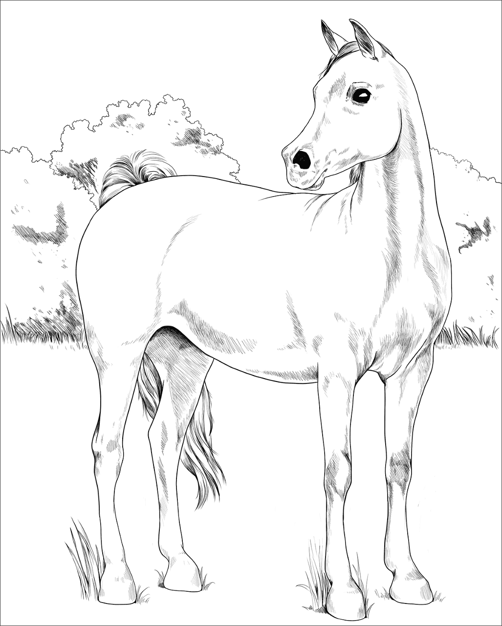 Desenho de Esportes Equestres para colorir e imprimir: número 22