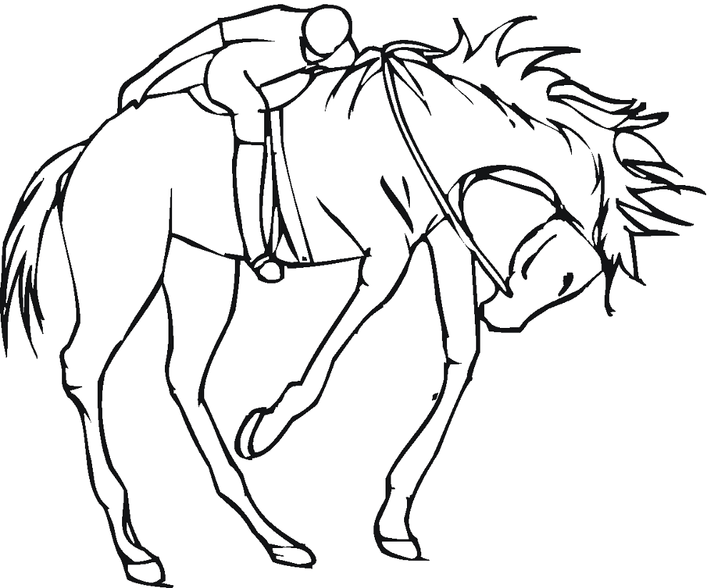 Desenho de Esportes Equestres para colorir e imprimir: número 45