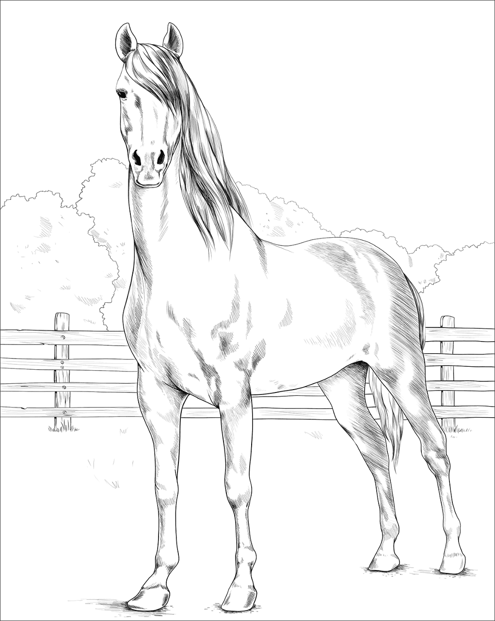 Desenho de Esportes Equestres para colorir