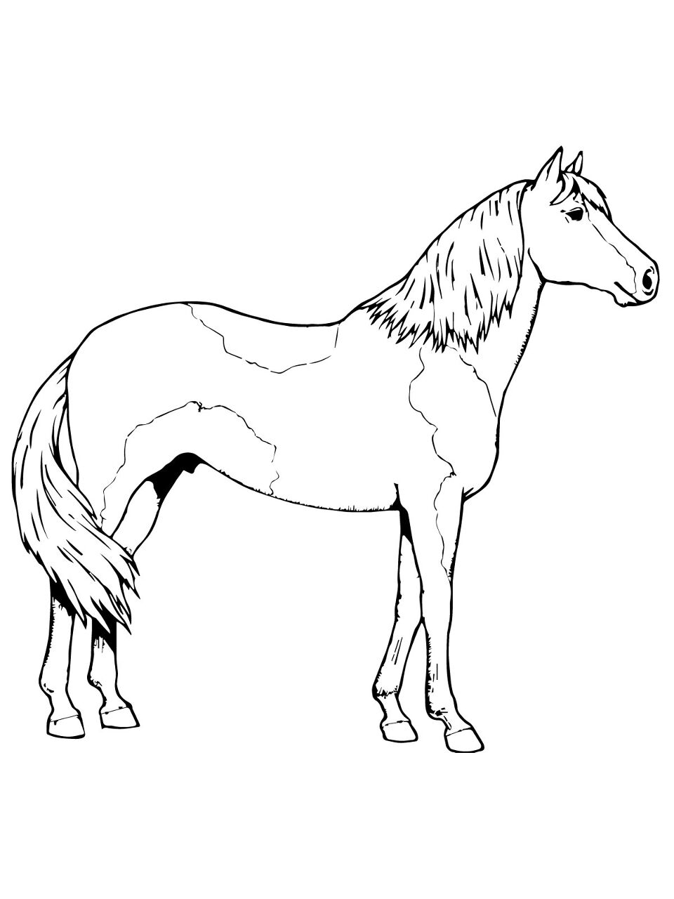 Desenho de Esportes Equestres para colorir