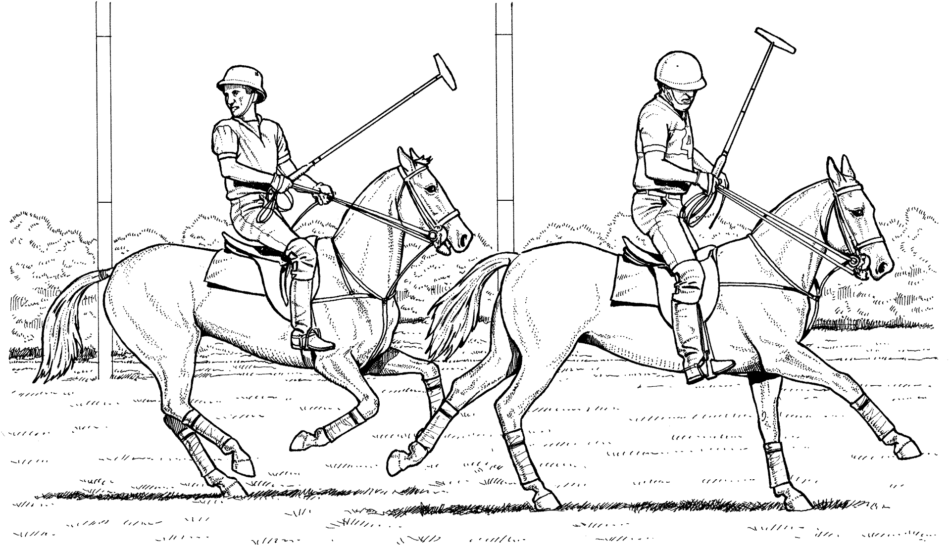 Desenho de Esportes Equestres para colorir