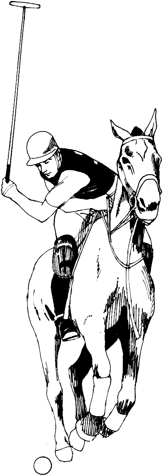 Desenho de Esportes Equestres para colorir