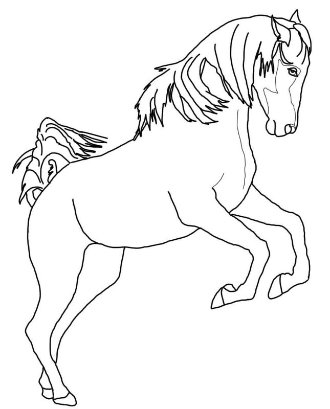 Desenho de Esportes Equestres para colorir