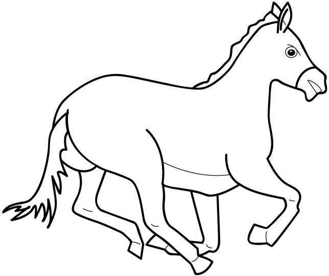 Desenho de Esportes Equestres para colorir