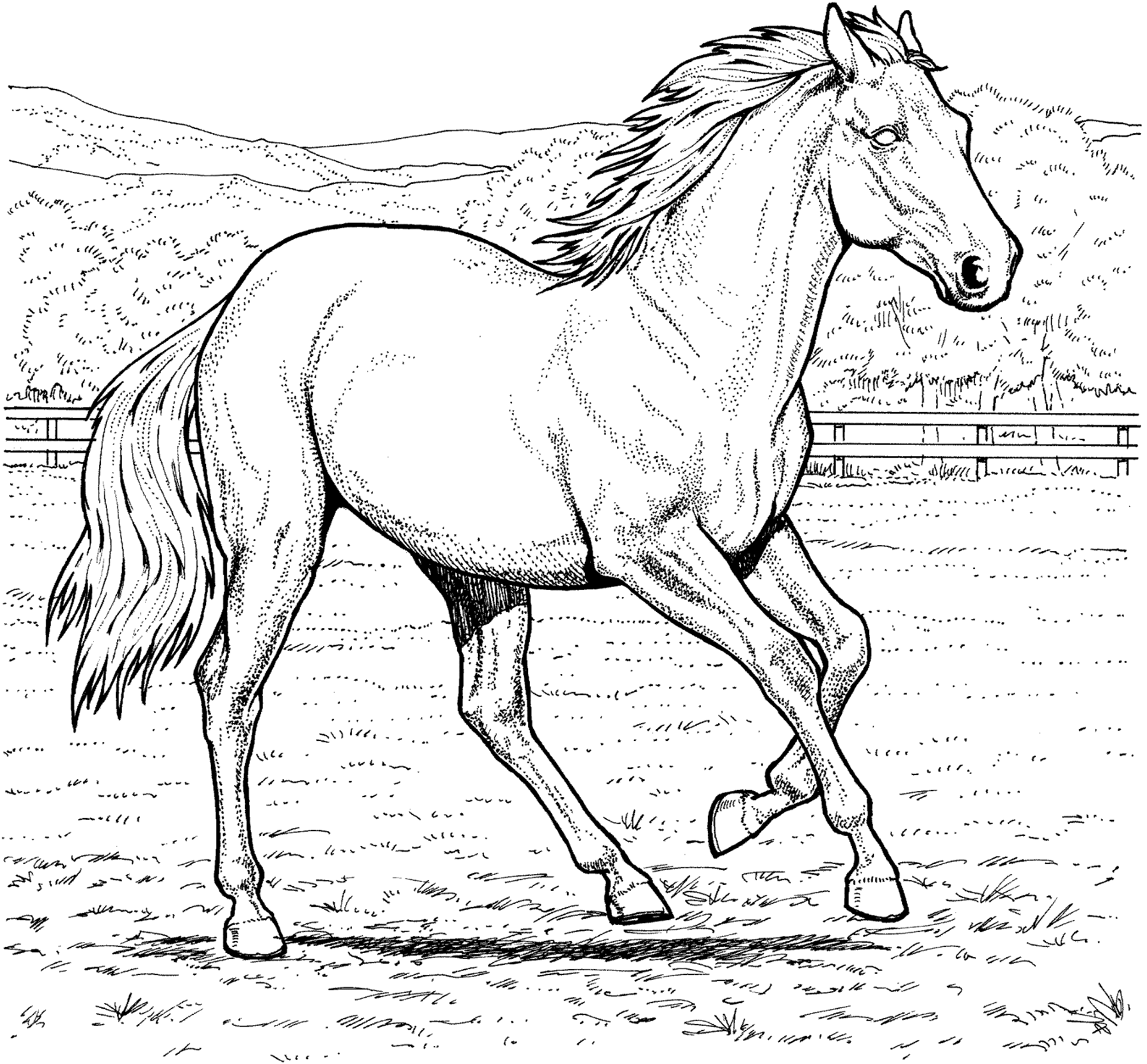 Desenho de Esportes Equestres para colorir