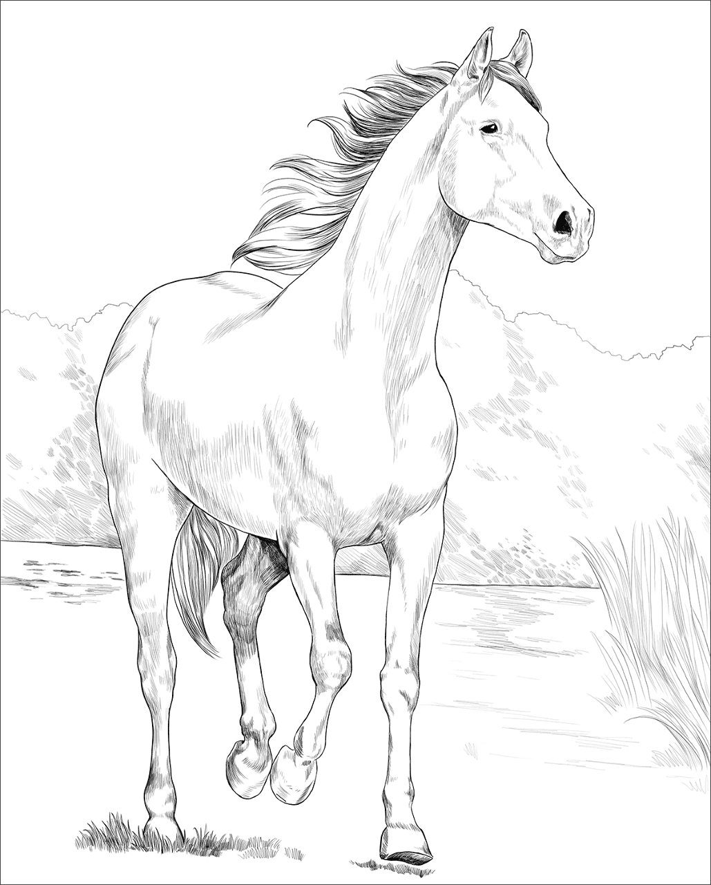 Desenho de Esportes Equestres para colorir
