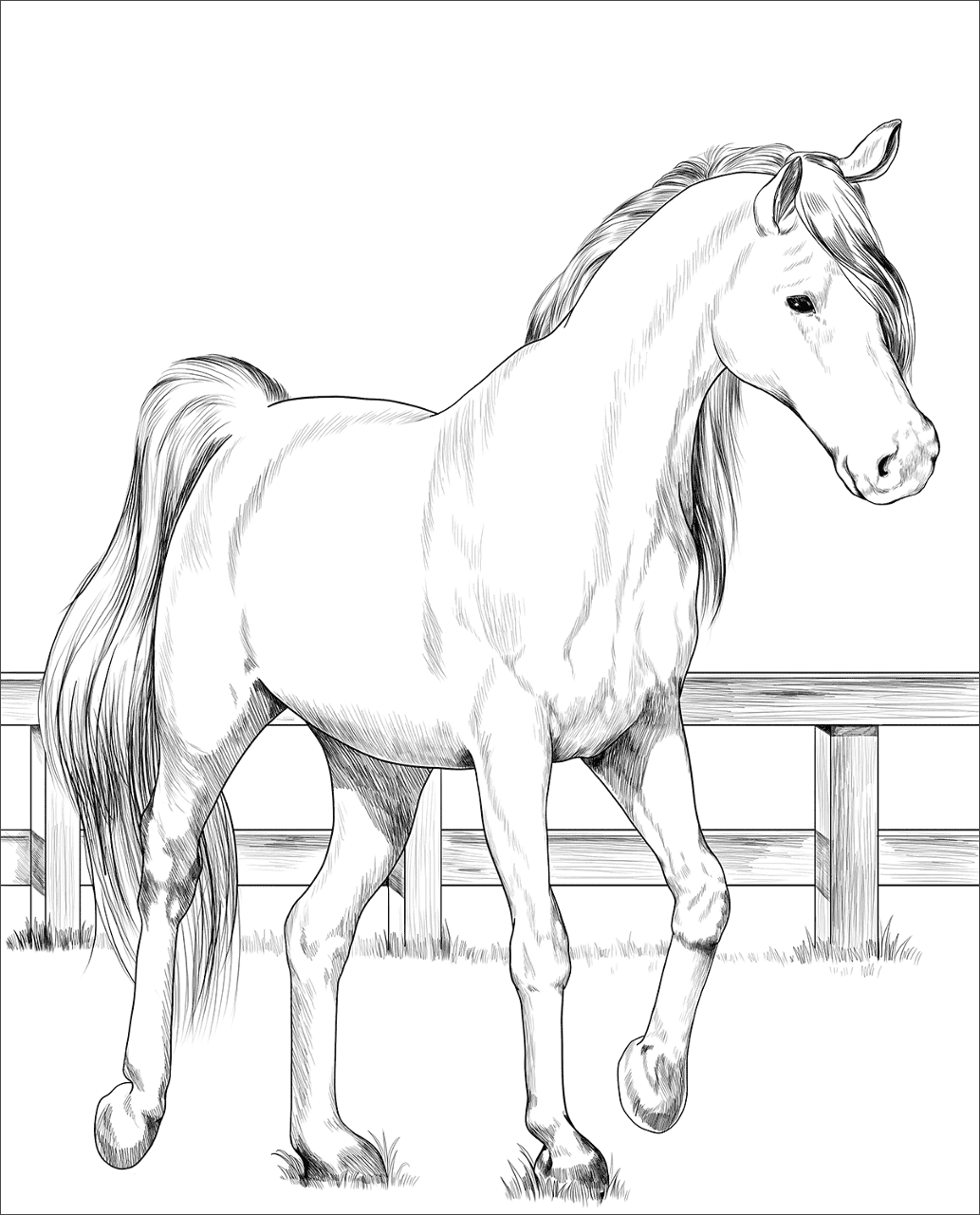 Desenho de Esportes Equestres para colorir