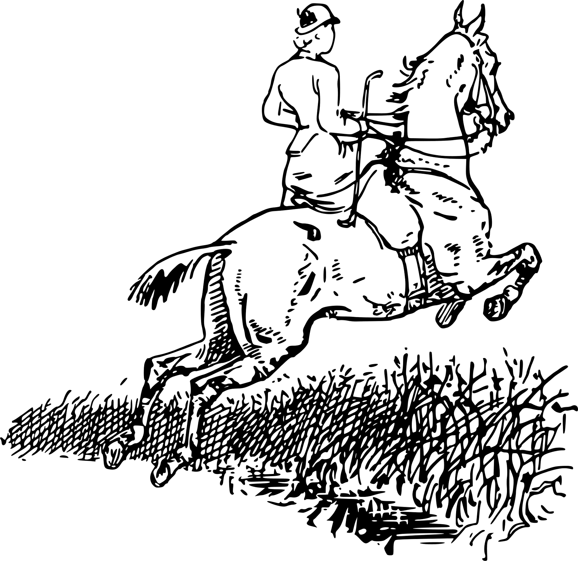 Desenho de Esportes Equestres para colorir