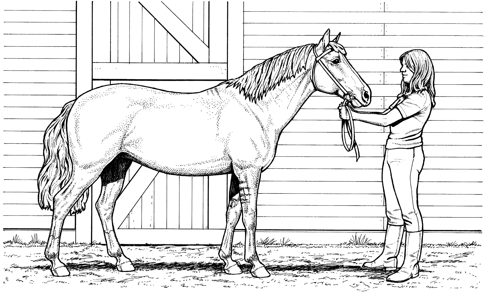 Desenho de Esportes Equestres para colorir