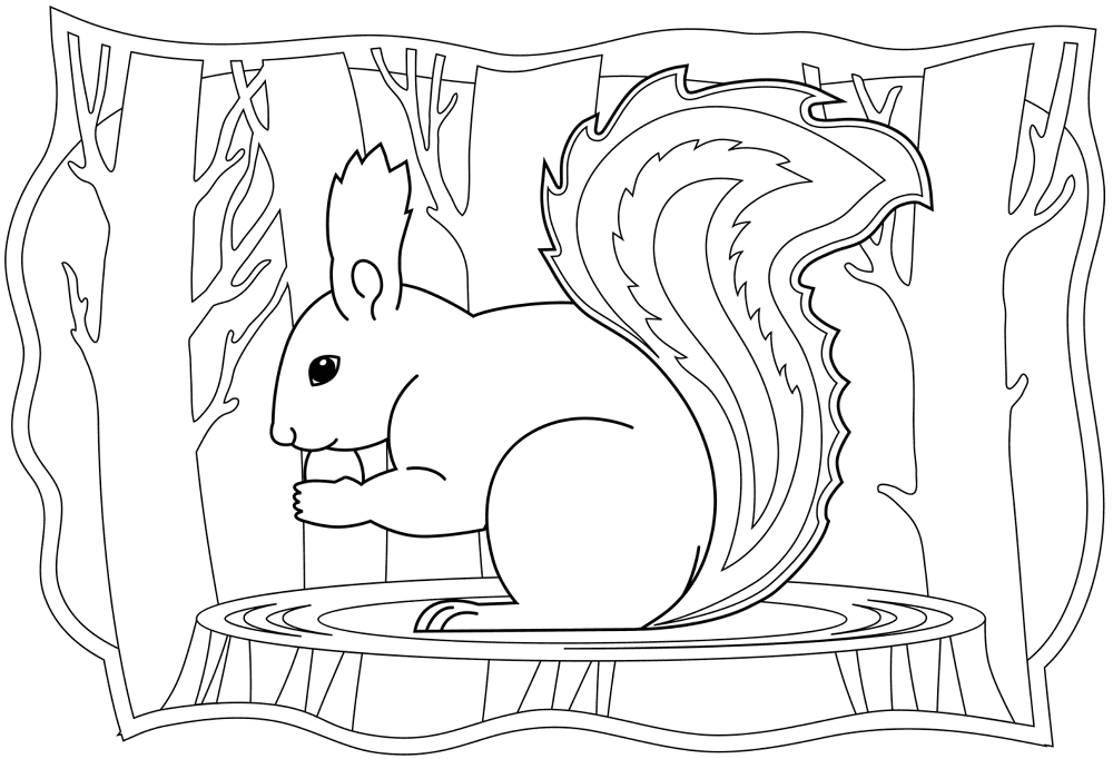 Desenho de Esquilos para colorir e imprimir: número 1