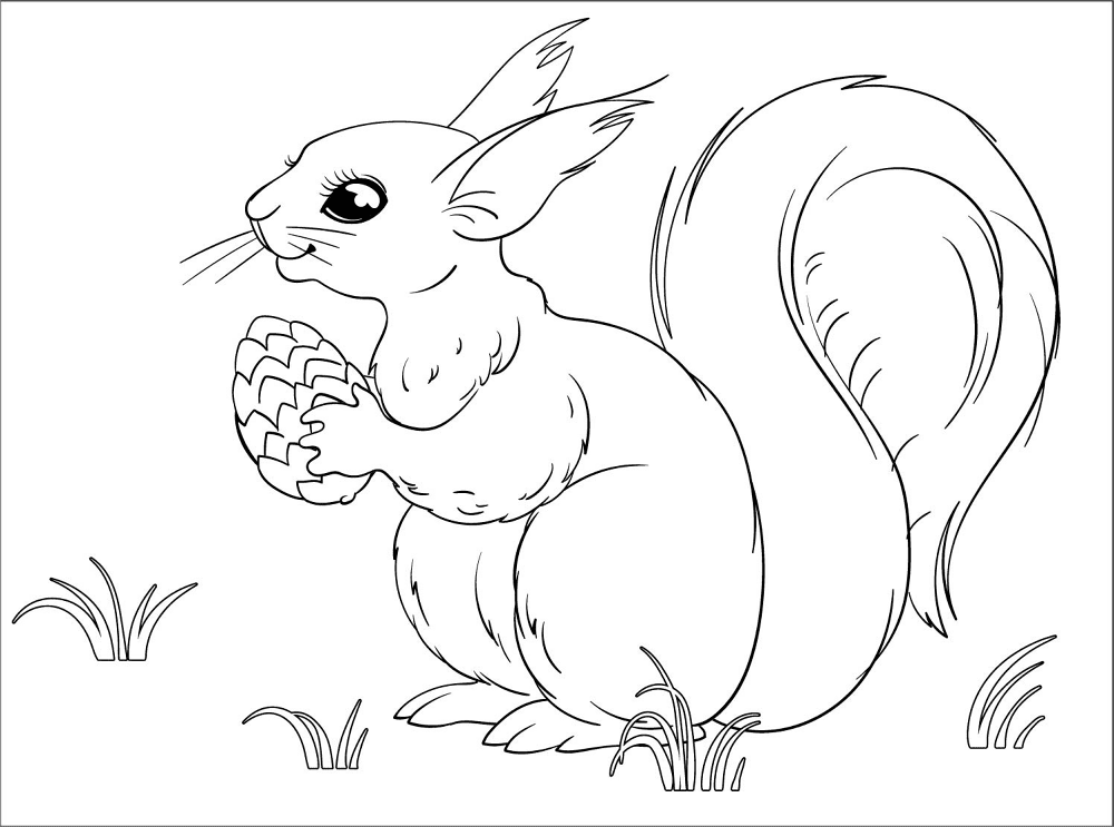 Desenho de Esquilos para colorir e imprimir: número 2