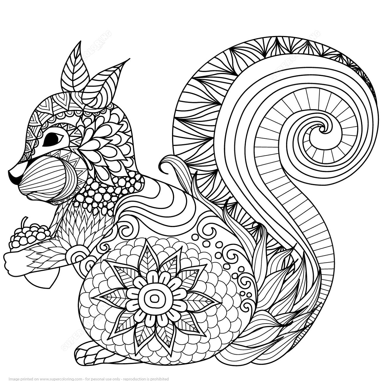 Desenho de Esquilos para colorir e imprimir: número 15