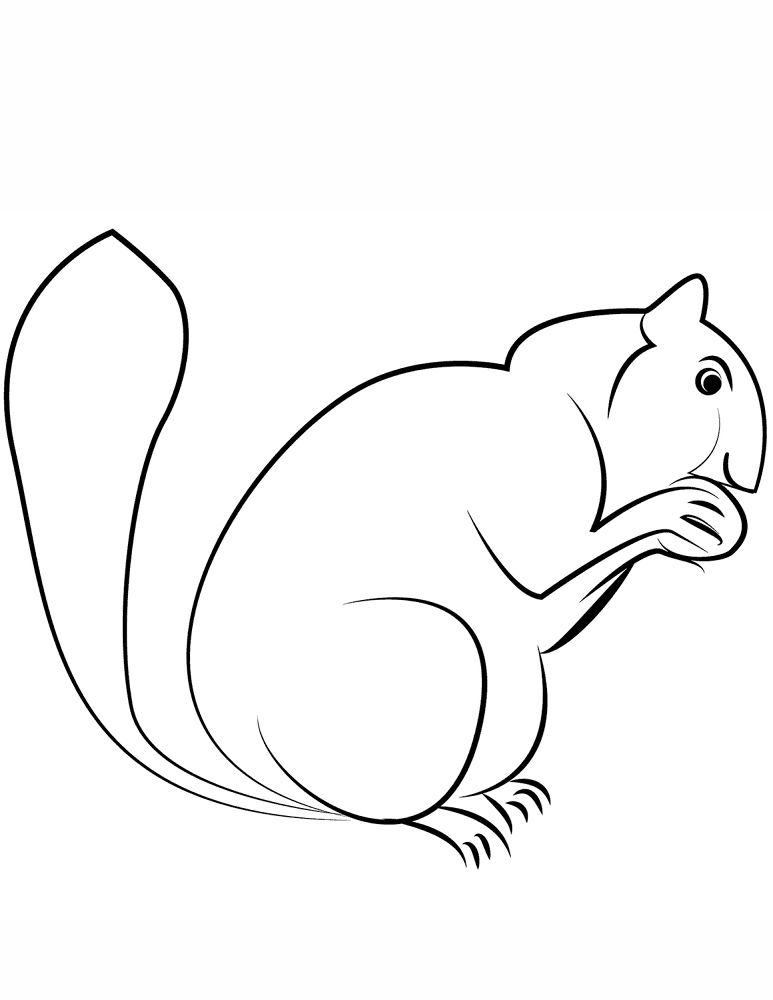 Desenho de Esquilos para colorir e imprimir: número 21