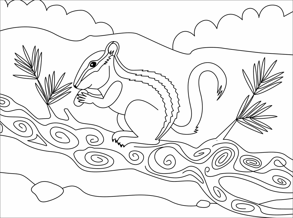 Desenho de Esquilos para colorir e imprimir: número 24