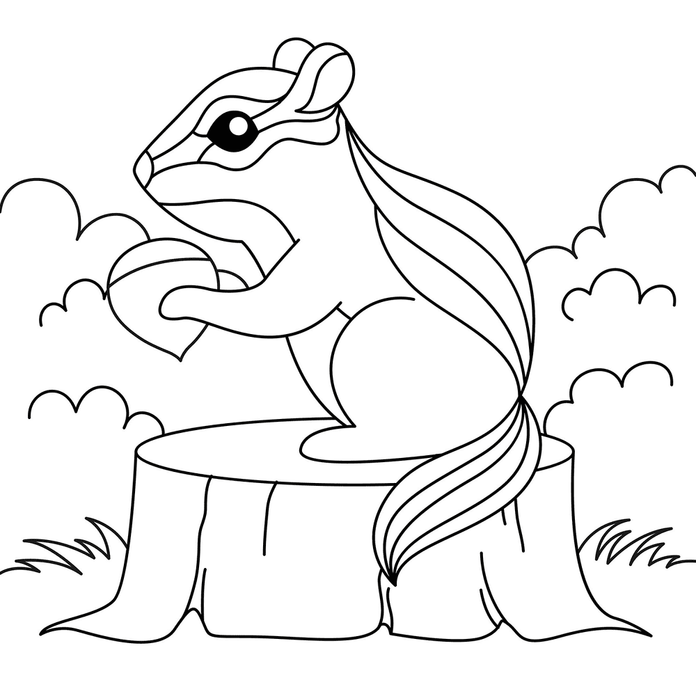 Desenho de Esquilos para colorir e imprimir: número 46