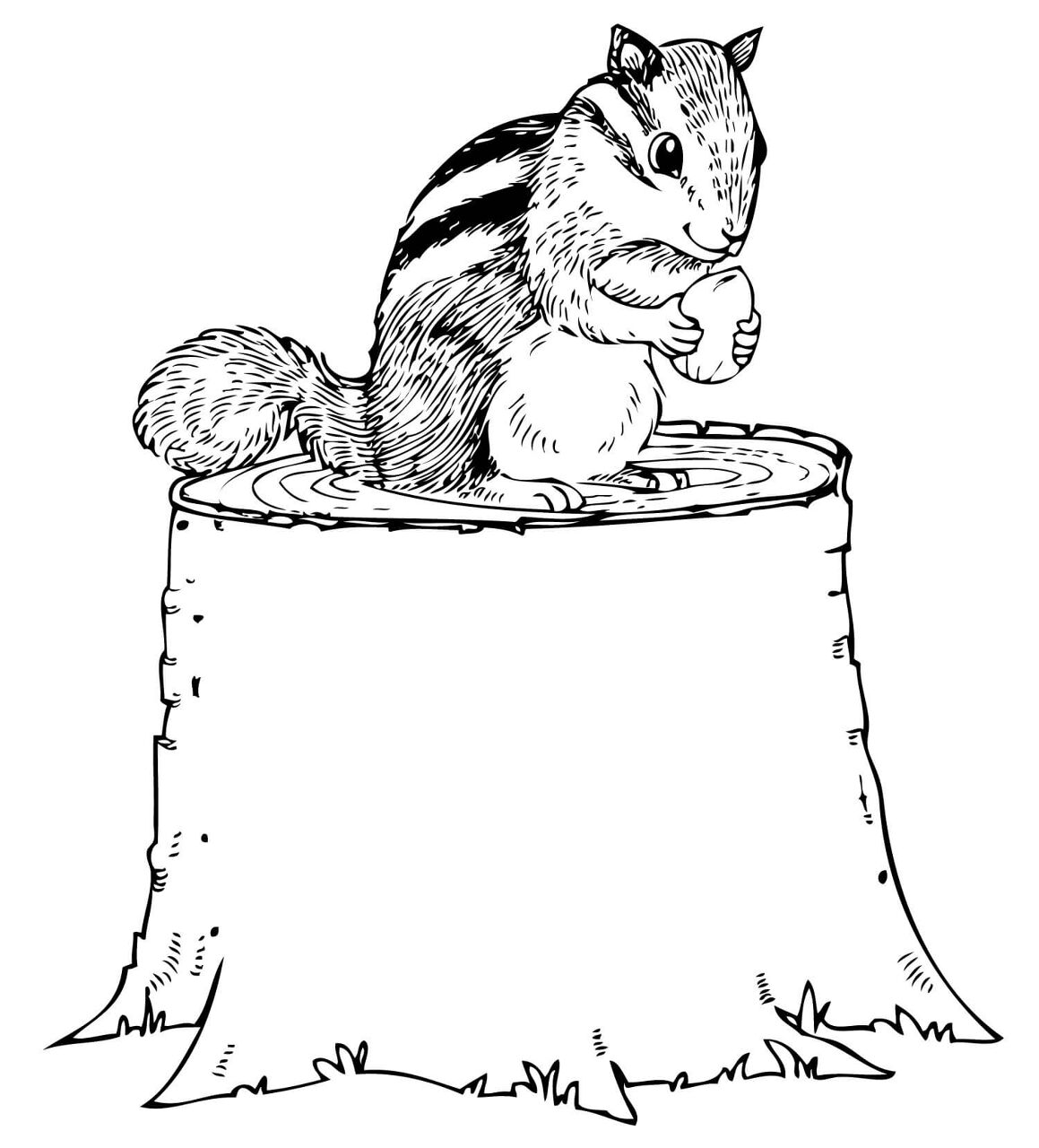 Desenho de Esquilos para colorir e imprimir: número 48