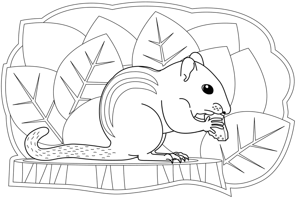 Desenho de Esquilos para colorir
