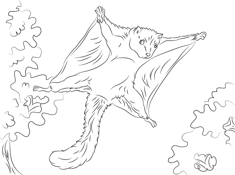 Desenho de Esquilos para colorir