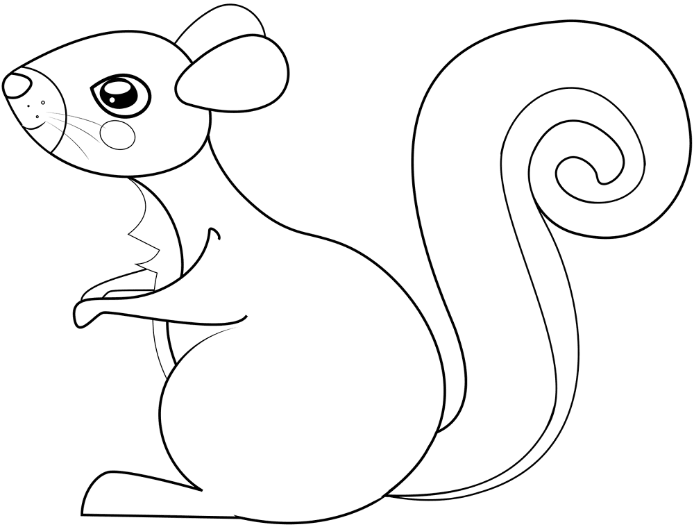 Desenho de Esquilos para colorir