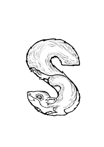 Desenho de Esquilos para colorir