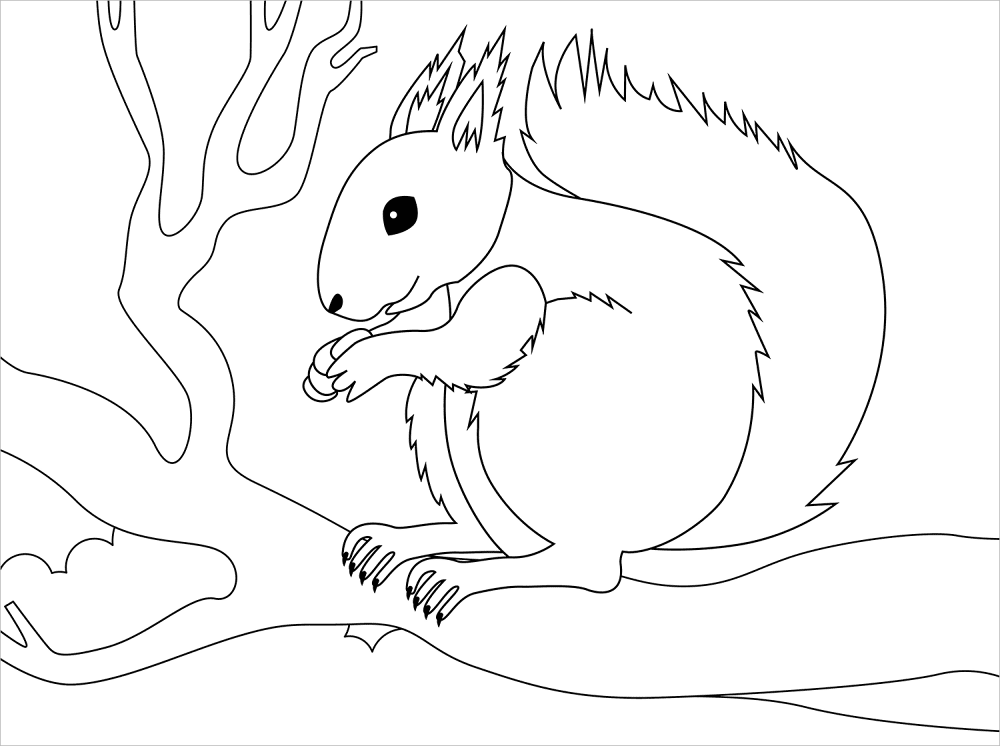 Desenho de Esquilos para colorir