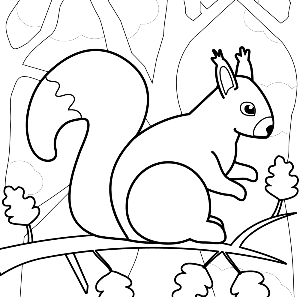Desenho de Esquilos para colorir