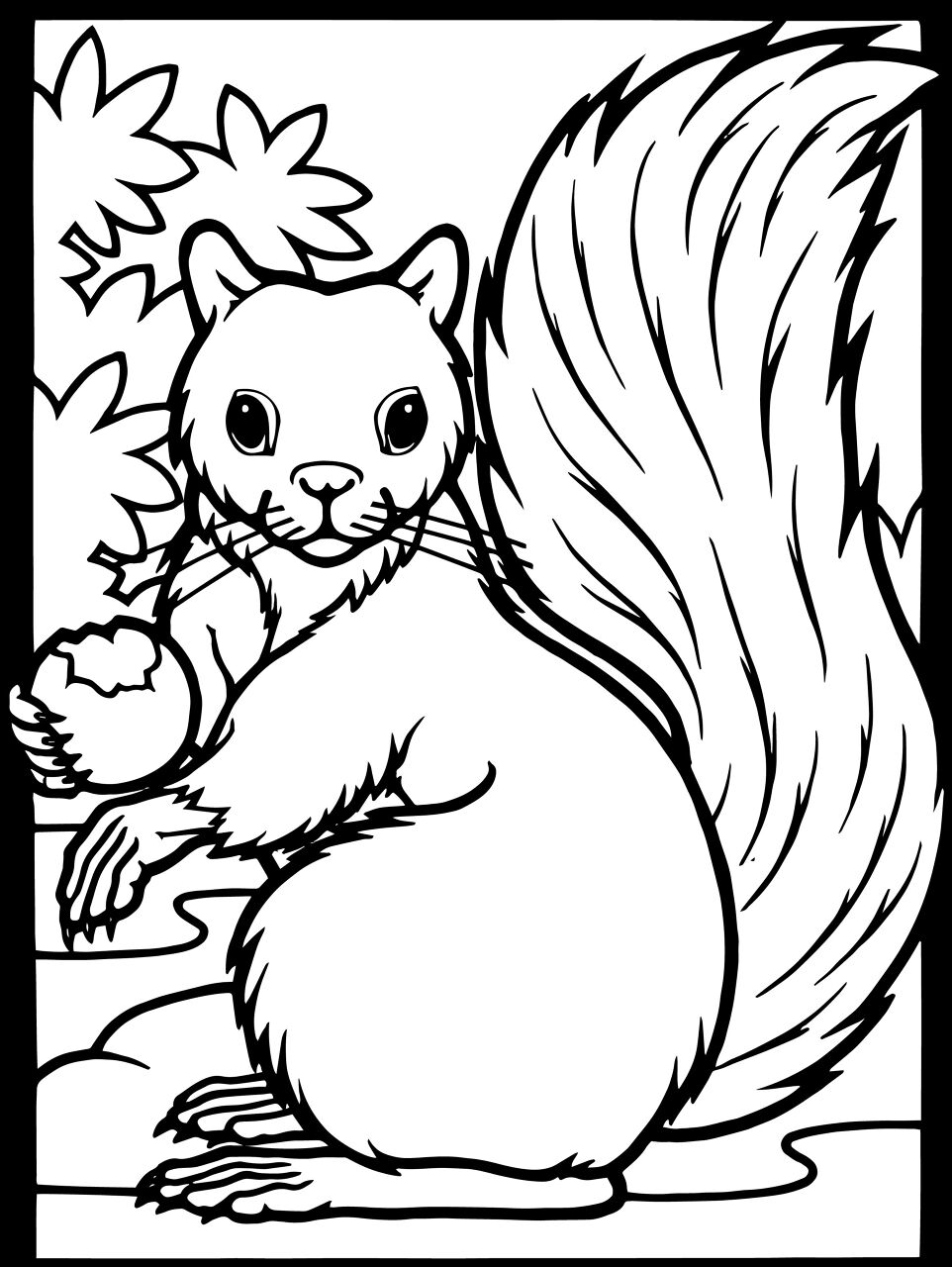 Desenho de Esquilos para colorir