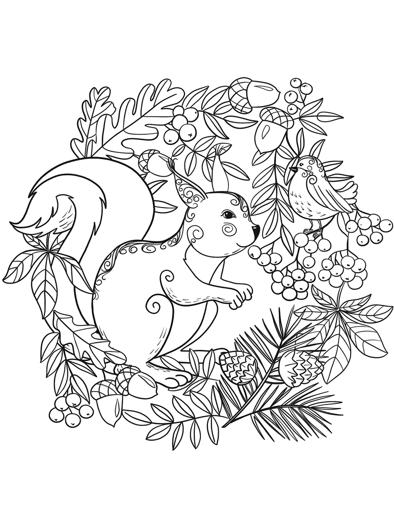 Desenho de Esquilos para colorir