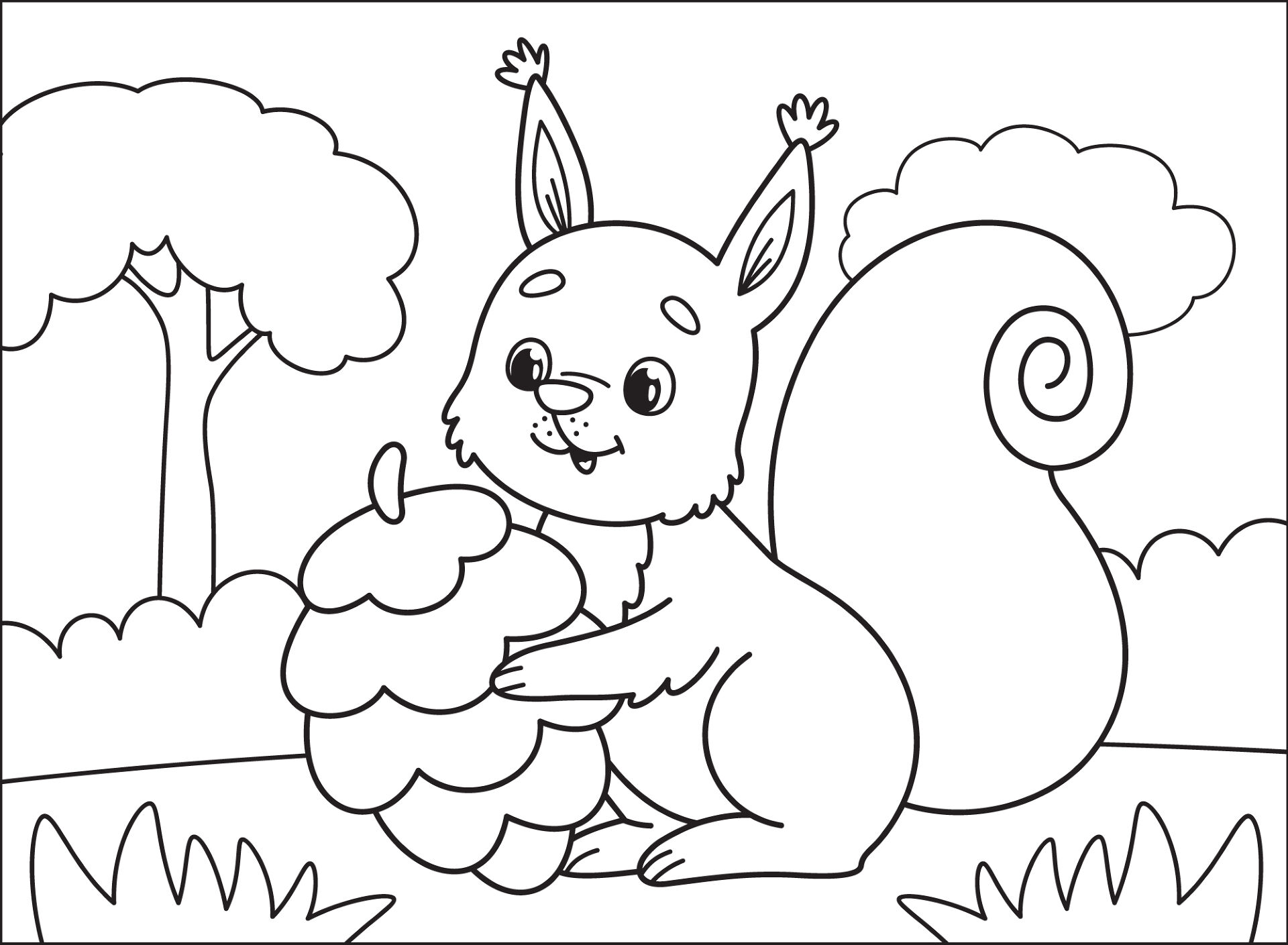 Desenho de Esquilos para colorir