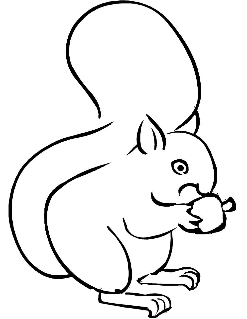 Desenho de Esquilos para colorir
