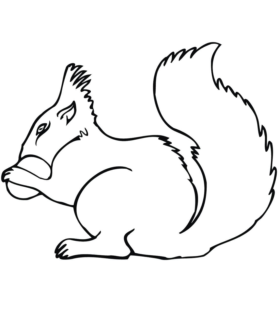 Desenho de Esquilos para colorir