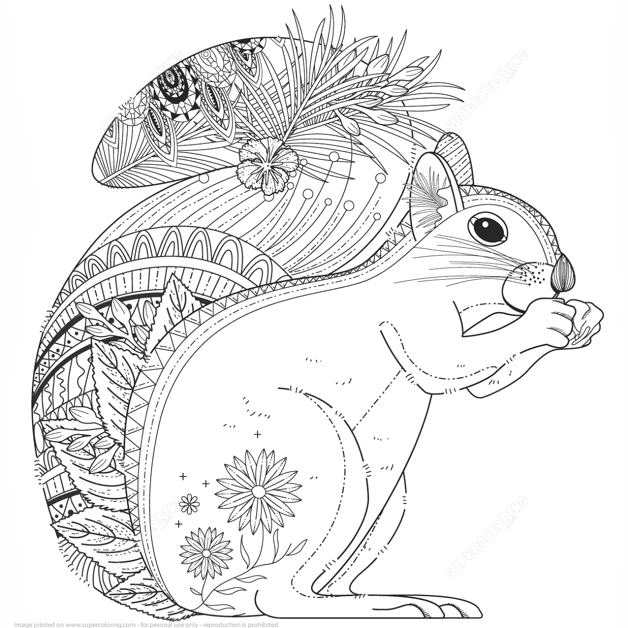 Desenho de Esquilos para colorir