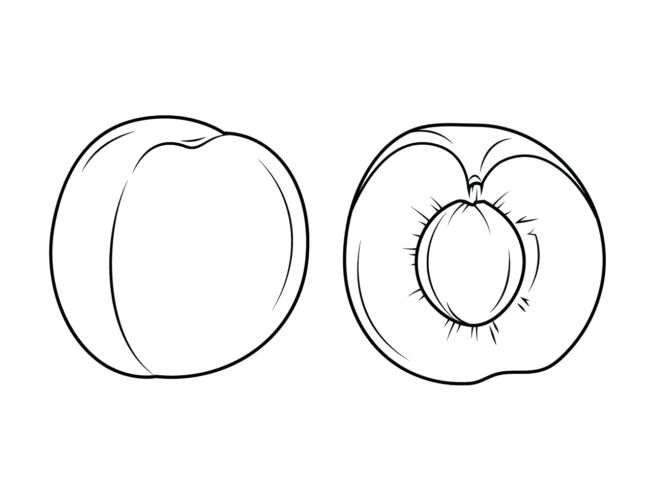 Desenho de Estações para colorir e imprimir: número 4