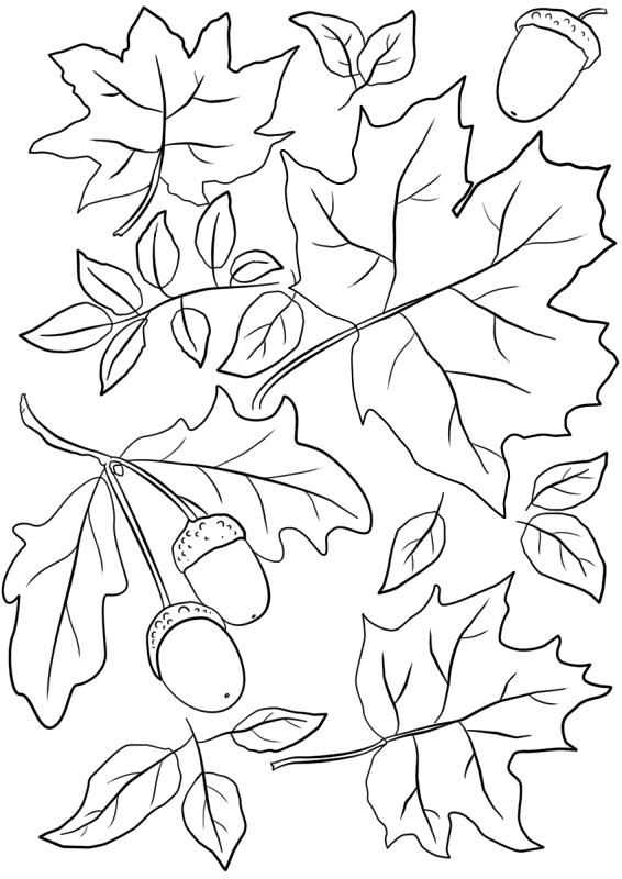 Desenho de Estações para colorir e imprimir: número 9