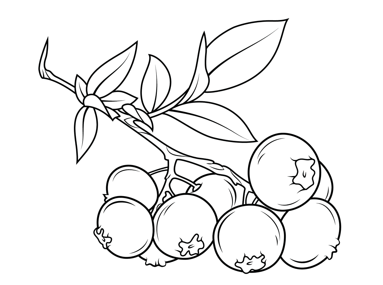 Desenho de Estações para colorir e imprimir: número 12
