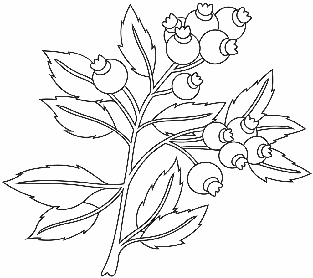 Desenho de Estações para colorir e imprimir: número 14