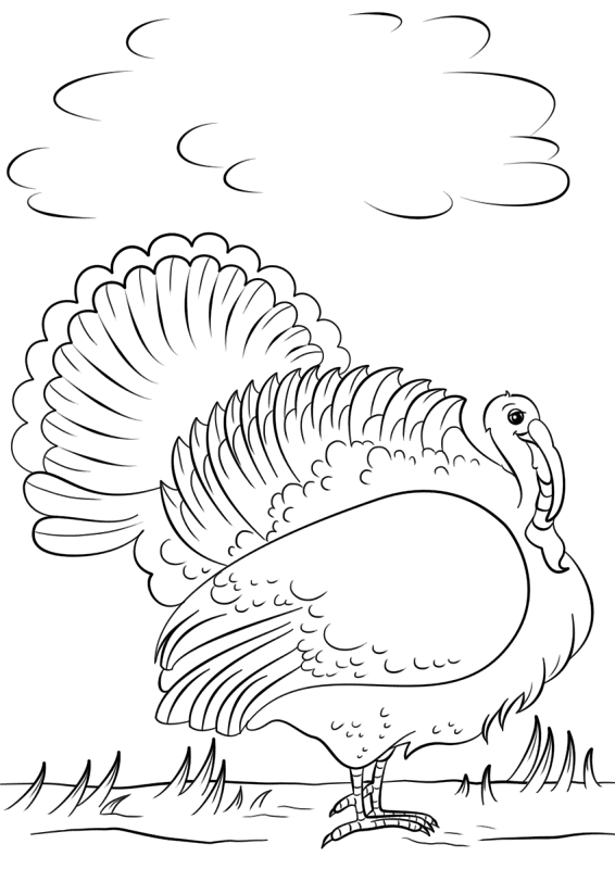 Desenho de Estações para colorir e imprimir: número 17