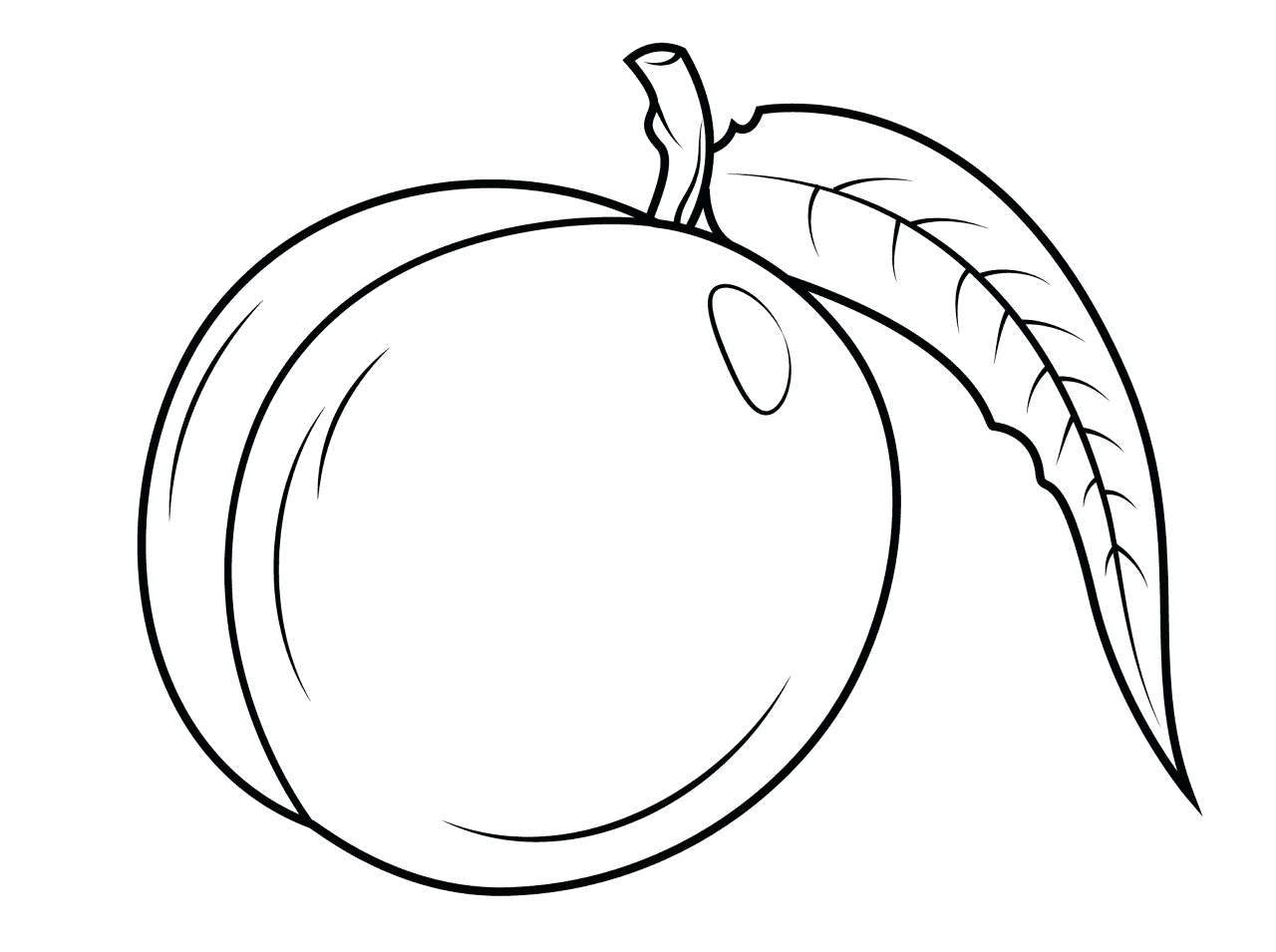 Desenho de Estações para colorir