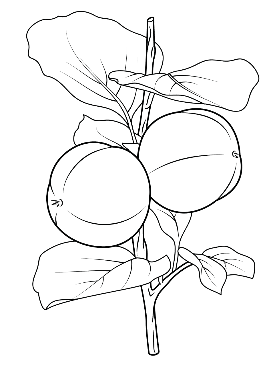 Desenho de Estações para colorir