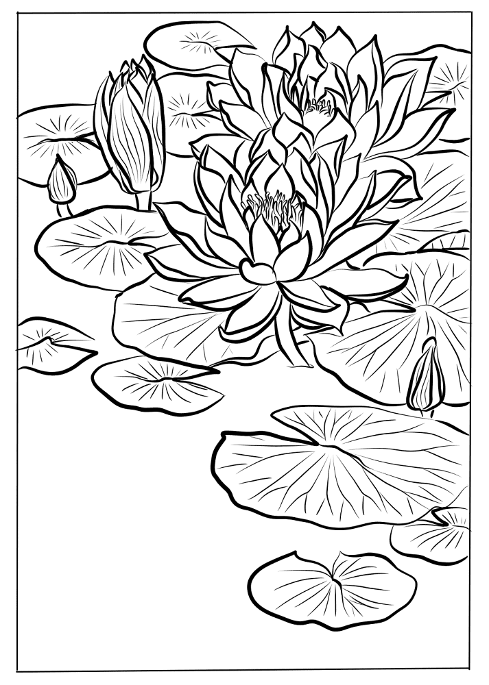 Desenho de Estações para colorir