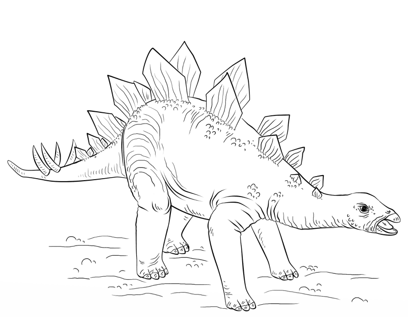 Desenho de Estegossauro para colorir e imprimir: número 2