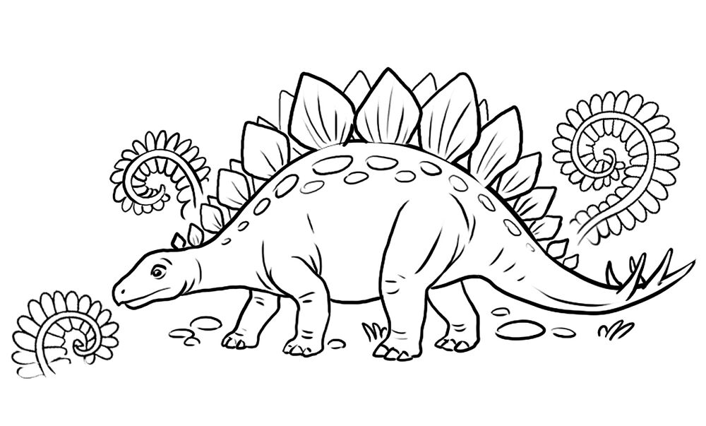 Desenho de Estegossauro para colorir e imprimir: número 24