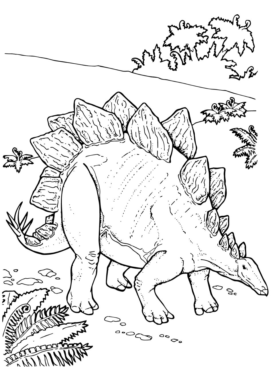 Desenho de Estegossauro para colorir e imprimir: número 25
