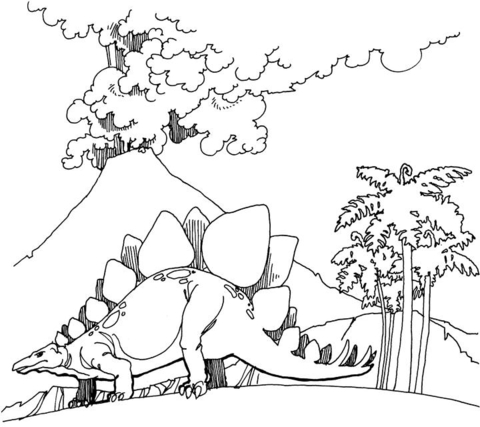 Desenho de Estegossauro para colorir e imprimir: número 34