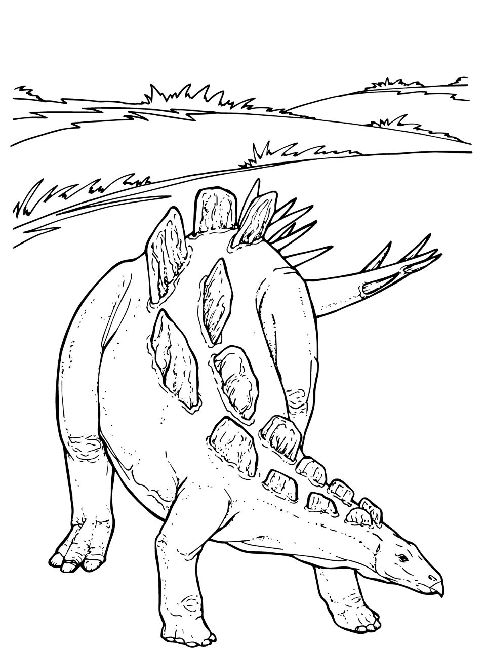 Desenho de Estegossauro para colorir e imprimir: número 35